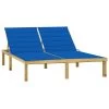 Chaise Longue Double Et Coussins Bleu Royal Pin Imprégné
