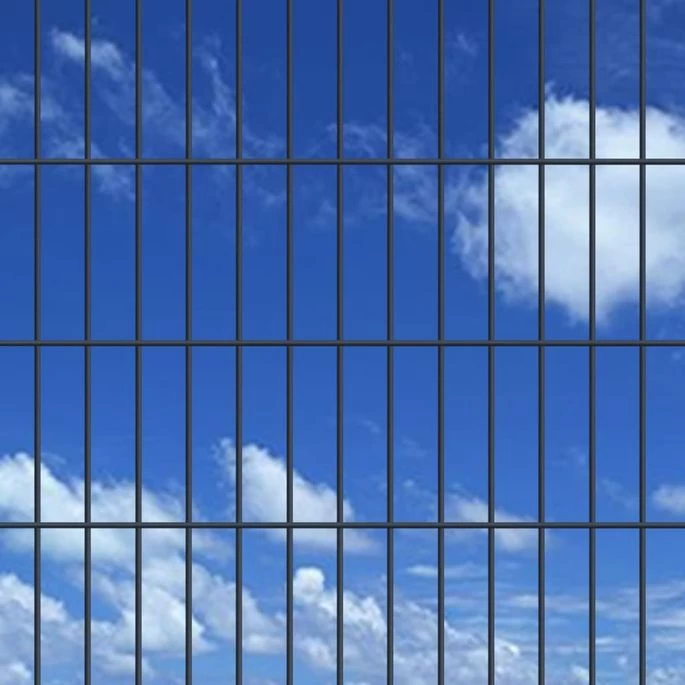 Panneaux Et Poteaux De Clôture 2D Pour Jardin 2008x830 Mm 46 M – Image 2