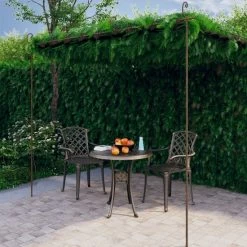 Pergola De Jardin Marron Antique 4x3x2,5 M Fer