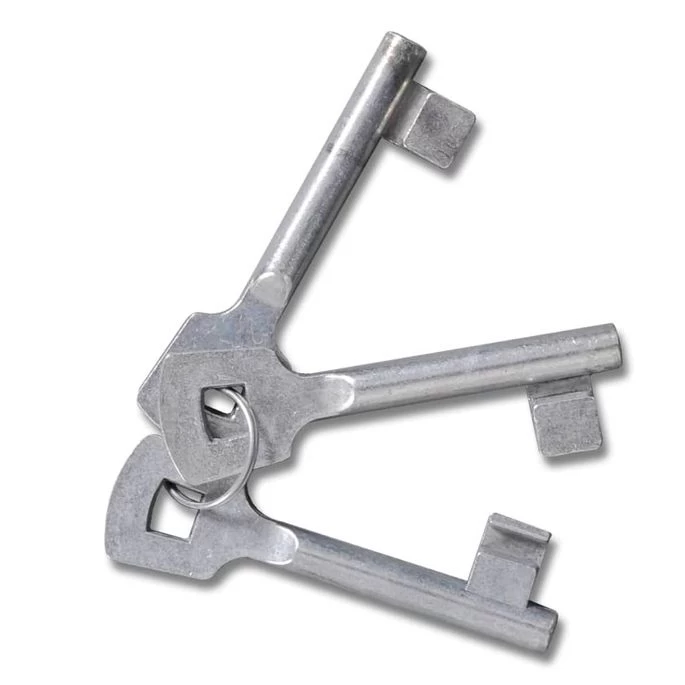 Portail De Clôture à Porte Double Acier Enduit De Poudre – Image 5